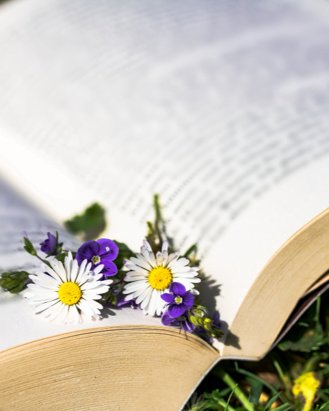 Naturopatia 10 Progetto senza titolo 11